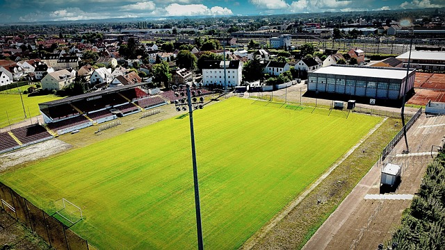 业经验与生 业经验与生