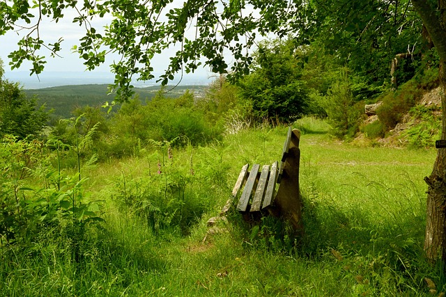 湖人的这场 湖人的这场