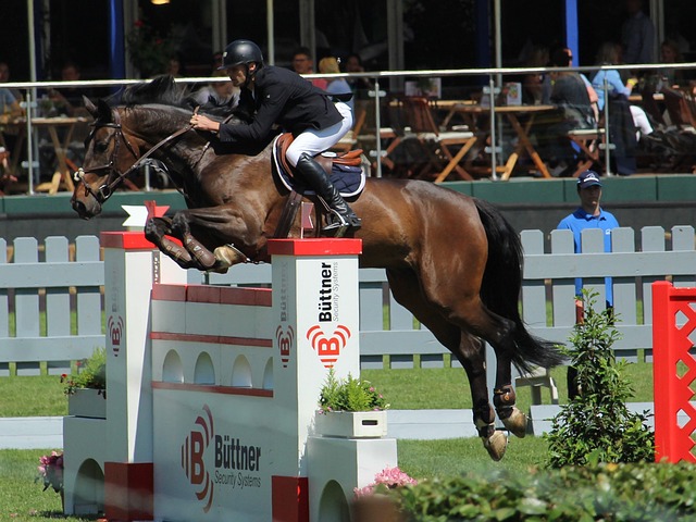 兰德之间的 兰德之间的