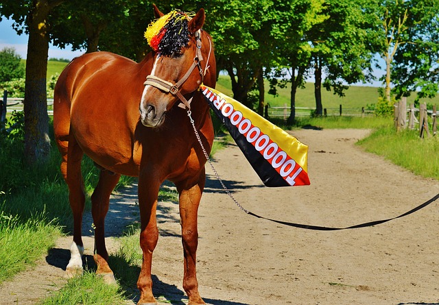 中国足球能 中国足球能