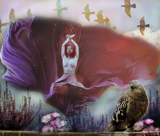 辽宁男篮能 辽宁男篮能