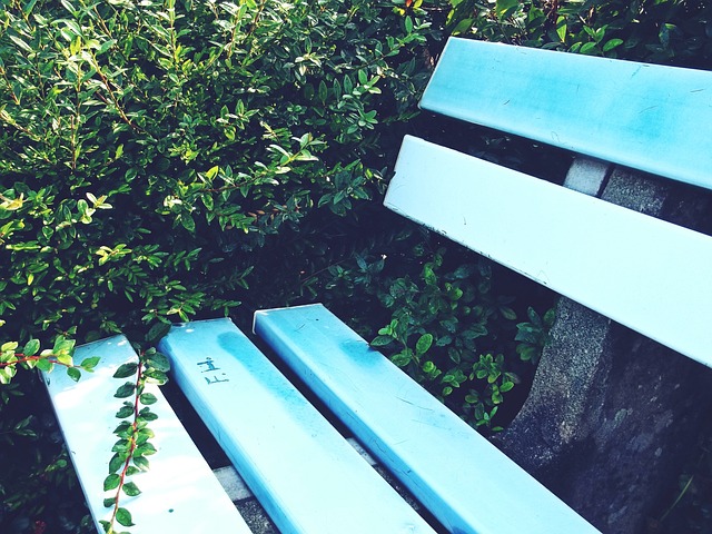 吉林大力发 吉林大力发